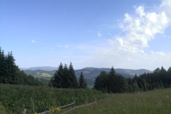 IMG_20220625_085144