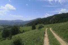 IMG_20220625_111505