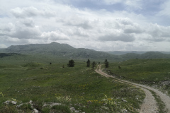 IMG_20220625_125404